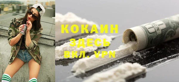 прущие крисы Верея