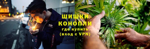 прущие крисы Верея