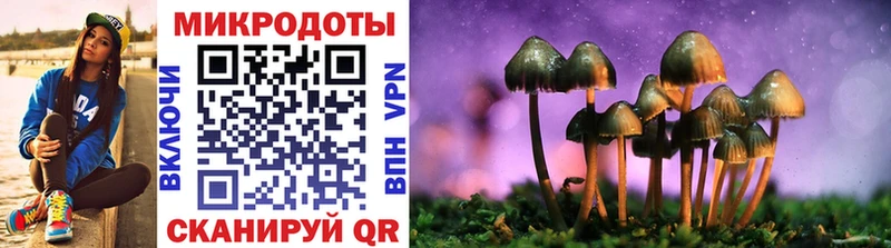 где можно купить   Болохово  Псилоцибиновые грибы Magic Shrooms 